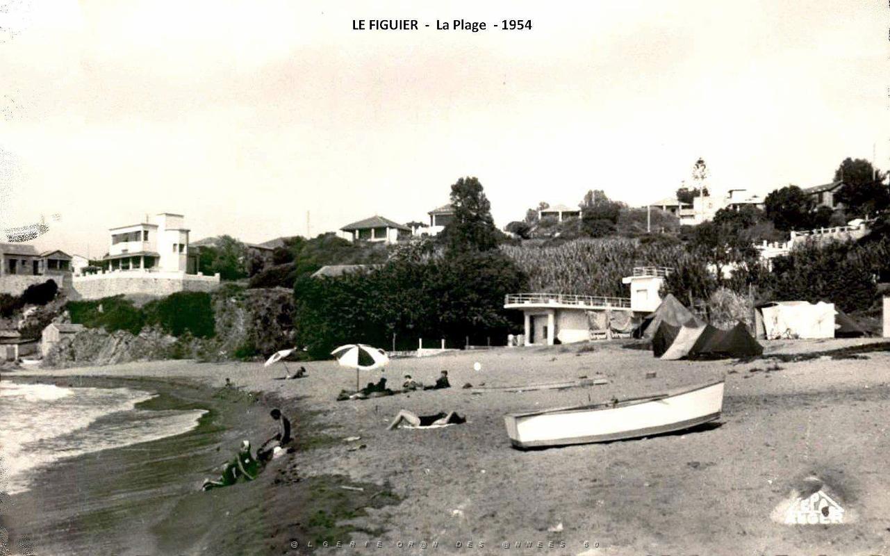 Le Figuier - La Plage - 1954.jpg